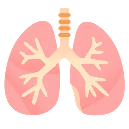 lungs