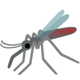 mosquito
