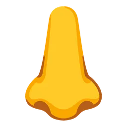 nose