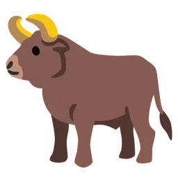 ox
