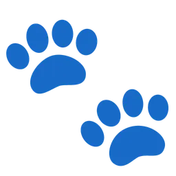 paw prints