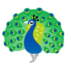 peacock