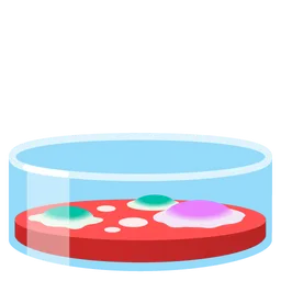 petri dish