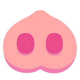 pig nose