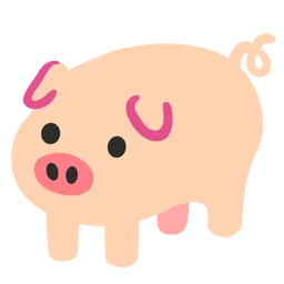 pig