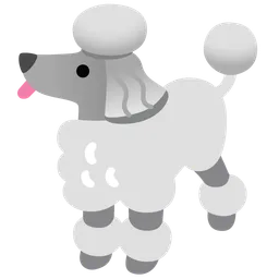 poodle