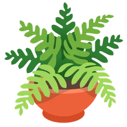 potted plant