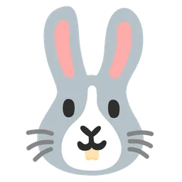rabbit face