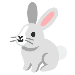 rabbit
