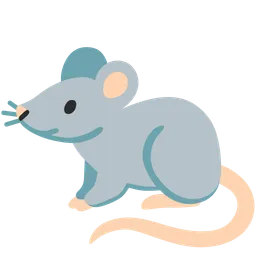 rat