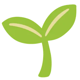seedling
