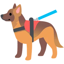 service dog
