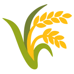 sheaf of rice