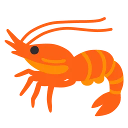 shrimp