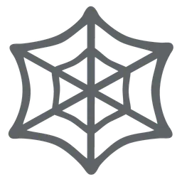 spider web