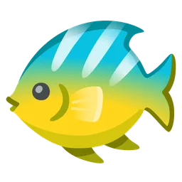 tropical fish