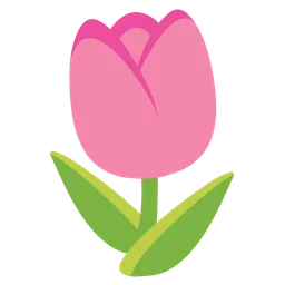 tulip