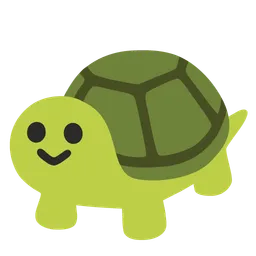 turtle