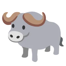 water buffalo