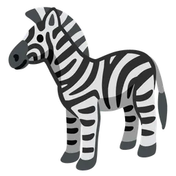 zebra