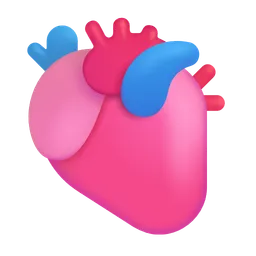 anatomical heart