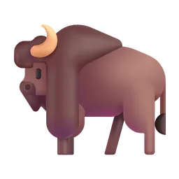 bison