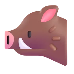 boar