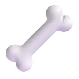 bone