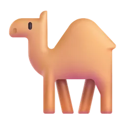 camel