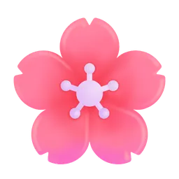cherry blossom