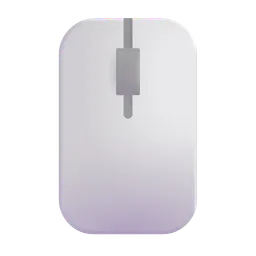 computer mouse