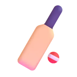 cricket game