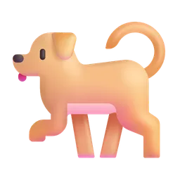 dog