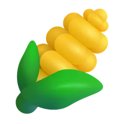 ear of corn
