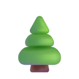 evergreen tree