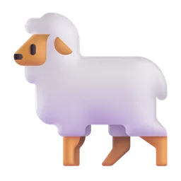 ewe