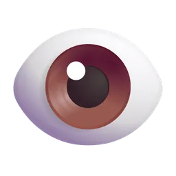 eye