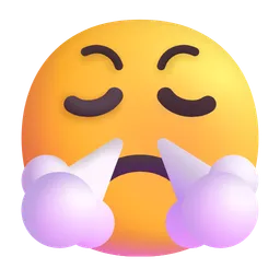 face with steam from nose