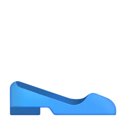 flat shoe