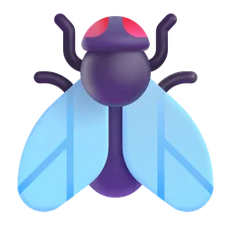 fly