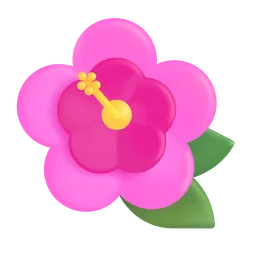 hibiscus
