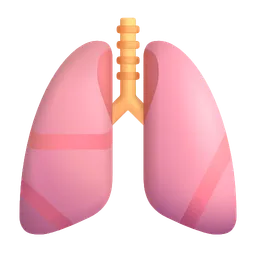 lungs