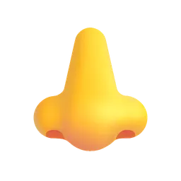 nose
