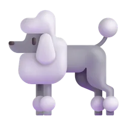 poodle