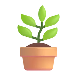 potted plant