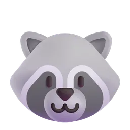 raccoon
