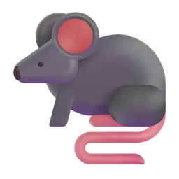 rat