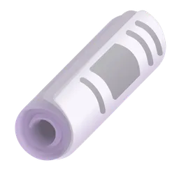 rolled-up newspaper