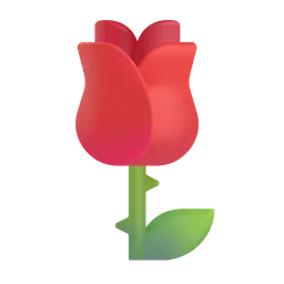rose
