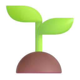 seedling